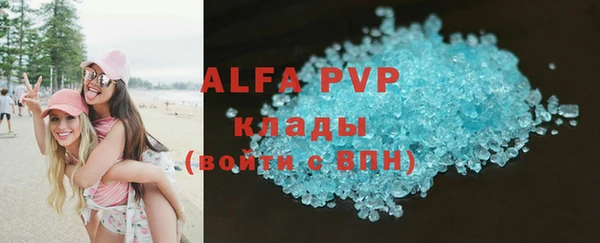 СК Алексин