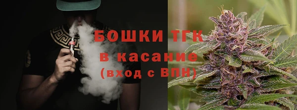 СК Алексин