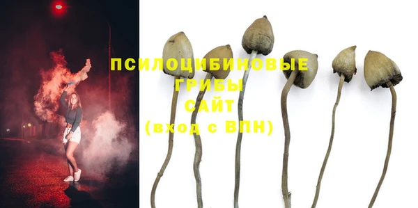 Альфа ПВП Коряжма