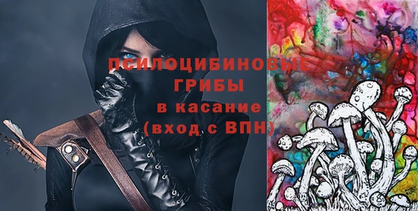 СК Алексин