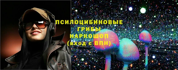 ECSTASY Алзамай