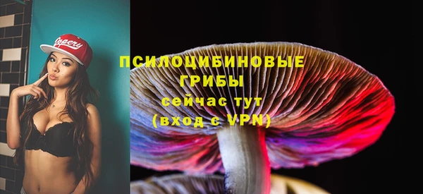 ECSTASY Алзамай