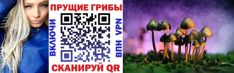 наркошоп  Арамиль  Псилоцибиновые грибы прущие грибы 
